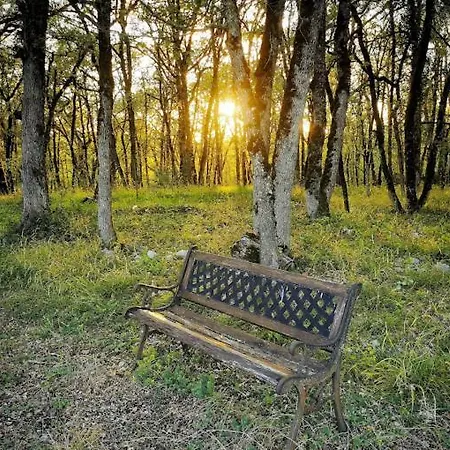 Le Clos Des Dryades G Nocleg ze śniadaniem Vers (Lot)